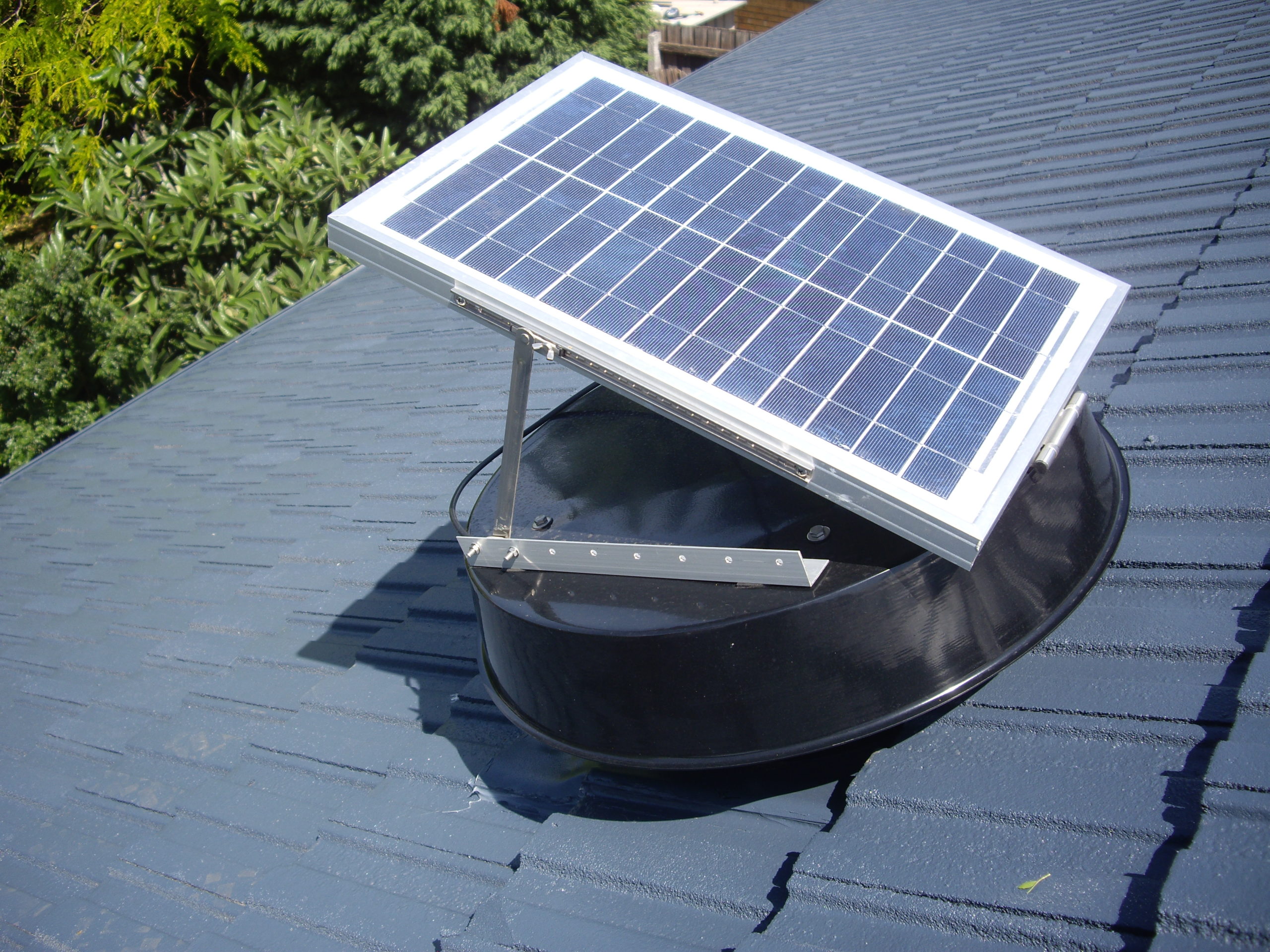 New-Low-SW2100-002-scaled (1)